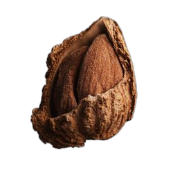 Almond