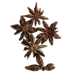 Aniseed