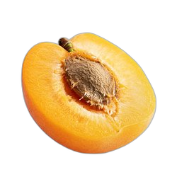 Apricot