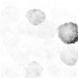 Black Cherry