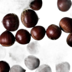 Chestnut