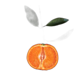 Clementine