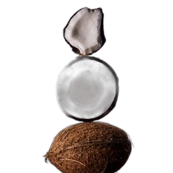 Coconut