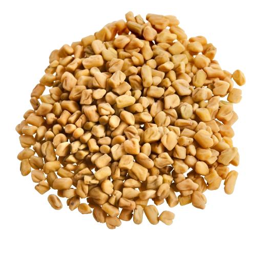 Fenugreek