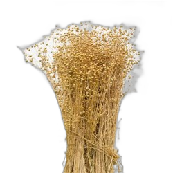 Flax