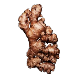 Ginger