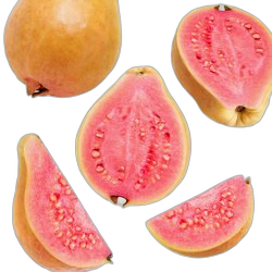 Guava
