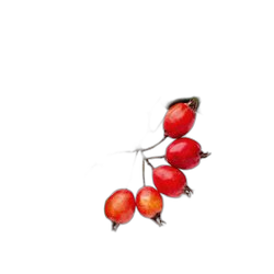 Hawthorn