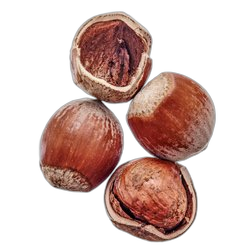 Hazelnut