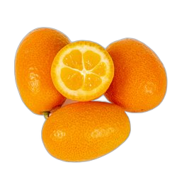 Kumquat