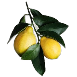 Lemon