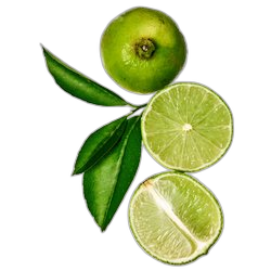 Lime
