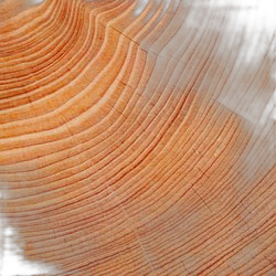 Mahogany