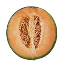 Melon