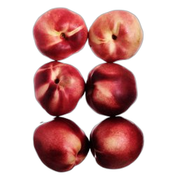Nectarine