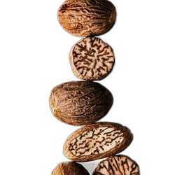 Nutmeg