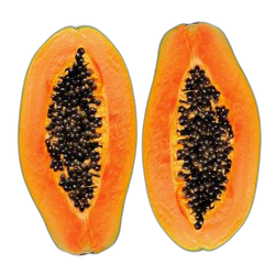 Papaya