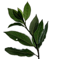 Pepperwood™