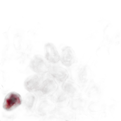 Pomegranate Juice