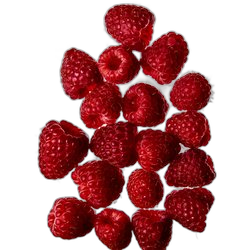 Raspberry