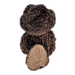 Truffle