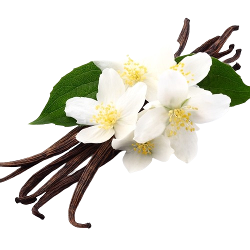 Vanilla